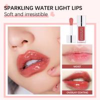 Aceite labial con Brillo de Labios, Efecto de Labios Más Suaves y Duraderos,Hidratación Intensa,Labios Rellenos,Elimina las Arrugas - details 6