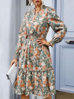 Vestido de manga larga de primavera para mujer, estampado elegante, cuello en V, informal, línea A, hasta la rodilla, cintura alta - details 8
