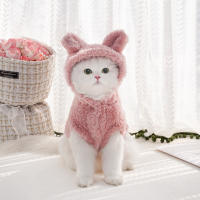 Ropa De Invierno Para Perros Y Gatos Con Orejas De Conejo Y Capucha De Algodón Suave Caliente Ropa De Otoño Y Invierno Para Mascotas - details 5