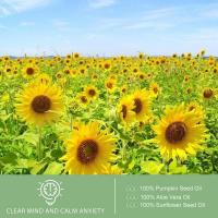 Aceite de Aloe Veras para la piel, Gel orgánico de Aloe Veras para absorber la piel, aceite hidratante puro de planta de aloe de corte recién Extra - details 5