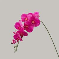 9 ramas artificiales de Phalaenopsis de cabeza, flor de orquídeas de mariposa Artificial hecha a mano realista, flores falsas de tacto Real - details 4