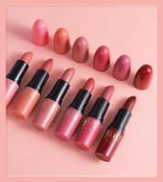 Juego de pintalabios color Bullet, Set de regalo de 6 barras de labios mate - details 13