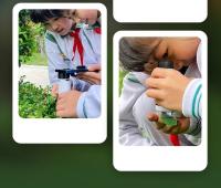 Microscopio de bolsillo Kit de juguetes científicos para niños 60-120x Mini microscopio de mano educativo con luces LED Juguetes para niños al aire libre - details 5