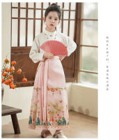 Falda con cara de caballo para niña, conjunto modificado Hanfu, disfraz antiguo Ming Tang de estilo chino para niña, verano para niños - details 15