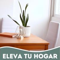 Pack de 2 Sillas de Comedor Tapizadas - Sillas Cocina Tapizadas - Pack Sillas Comedor (Blanco, 2) - details 10