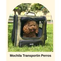 mochila perro