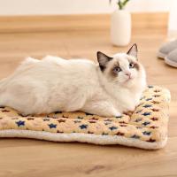 Colchoneta de franela cálida para mascotas, colchón de franela suave para perros, colchoneta gruesa para dormir, manta plegable y transpirable para perros, Invierno - details 2