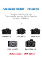 HQIX para Panasoinc Lumix DMC-G10 G1 G2 GF1 GH1 Cámara DMW-BLB13 Cargador de batería - details 6