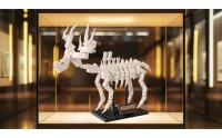 Megaloceros, Compatible with Lego