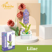 Bloques de construcción de ramo en maceta, montaje de flores eternas, azafrán, lila, Gardenia, modelo de ladrillos, Juguetes Diy para niños, regalos de vacaciones - details 11