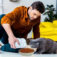Bolsas de Comida para Gatos Paquete de 4, 13.97cm, Platos de Alimentación y Agua de Plástico PP Antideslizantes Ideal para Gatos, Callitos, y Gatos de Patas Cortas - details 12