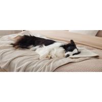 Coperta Impermeabile