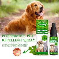 PULVERIZADOR antiácaros para perro, tratamiento de insectos de acción rápida, Control de plagas, suministros para mascotas - details 1