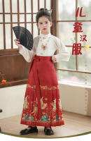 Falda con cara de caballo para niña, conjunto modificado Hanfu, disfraz antiguo Ming Tang de estilo chino para niña, verano para niños - details 1