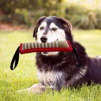Juguete Interactivo para Masticar para Perros Grandes Duradero con Asa y Cuerda Juguete de Entrenamiento para Mascotas - details 18