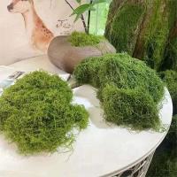 50G simulación DIY planta decoración verde PAISE musgo césped Artificial - details 6