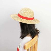 Paja Anime dibujos animados primavera verano nuevo estilo padre-hijo al aire libre sombrilla Luffy sombrero para mujeres hombres - details 2