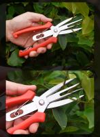 Tijeras de Podar Jardín Tijeras Compactas para Podar Ramas, Recortar Frutas y Flores - details 6