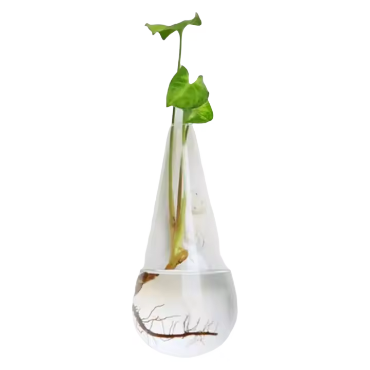 Vaso De Flor De Vidrio Colgante Para Pared Terrario Acuario Contenedor De Flores Y Plantas Decoración Para El Hogar Y Jardín Estilo Moderno - 1