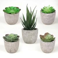Mini plantas artificiales de Aloe, bonsái, árbol pequeño simulado, plantas en maceta, flores falsas, mesa de oficina, adornos en maceta, decoración del jardín del hogar - details 2