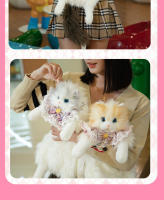 Muñeca muñeca de tela de felpa juguete cumpleañera explosión de la misma mochila de gato ragdoll simulada bolsa de gato gordito - details 5