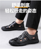 750_06.jpg
