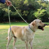 Cadena duradera nailon mascotas, Collar correa de tracción perros medianos y grandes, Correa antideslizante para cachorros - details 1