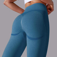 Pantalones Deportivos Sin Costuras para Mujeres Cintura Alta Yoga, Levantamiento de Glúteos, Carreras Ropa de Gimnasio - details 40
