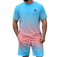 Conjunto Casual de Moda para Hombres Camiseta de Cuello Redondo y Pantalones Cortos - details 1