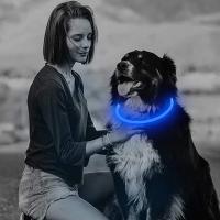 Collar con luz Led para perro, Correa luminosa de carga USB, desmontable, brillante, para gato grande, Labrador pequeño, productos para mascotas - details 1