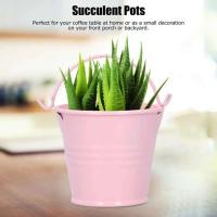 Mini hierro ETA plantas jugosas, pequeños cubos de metal para decoración interior y exterior, 10 unidades - details 1