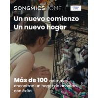 FEANDREA Tiragrañas para gatos, 73 cm, rascador de sisal, marrón rústico - details 10