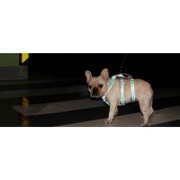 arnés para perros