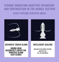Embalaje privado SEXY Hollow Anal Plug Vibrador Potente Buttplug Expansión adaptable Contracción Próstata Vagina Estimulación del punto G Juguete sexual para - details 5