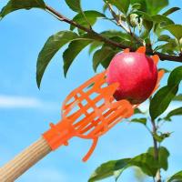 Cosechador de Frutas de Altura Herramienta de Jardín de Plástico para Melocotón, Ciruela, Jujube - details 1