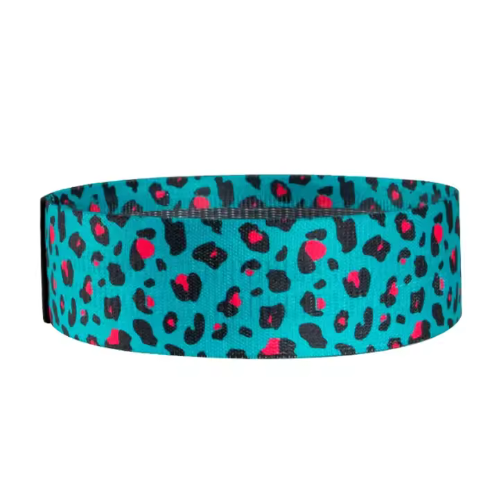 Bandas de resistencia con estampado de leopardo verde Para Fitness, conjunto de bandas Para levantamiento de cadera, Accesorios prácticos Para Yoga, Pilates, equipo de gimnasio en casa - 1