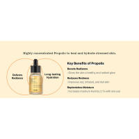 Ampolla, suero facial potenciador de luminosidad con 73,5% de extracto de propóleo, 1,01 fl.oz/30 ml, esencia hidratante para pieles sensibles - details 2