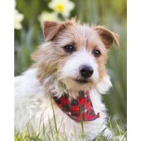 Wodondog Puerta Extensible para Bebés, Barrera de Seguridad para Niños y Perros, Barreras Retráctiles de 0-150 cm para Pasillos de Escaleras, Interior y - details 12