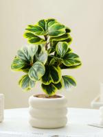 Pequeña Planta Hoya Artificial en Forma de Corazón Falsas Piñas Jugosas - details 7