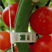 Aplicador de soporte para tomate, hebilla para planta de melón vegetal, Clip de plástico, carpeta de corbata, flexibilidad, no daña las plántulas, 50 piezas - details 2