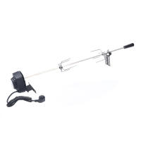 Asador con motor, 80 cm, incluye 2 agujas de carne, pincho giratorio profesional para barbacoa (220-240 V) - details 0
