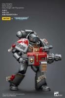 JOYTOY 40k 1/18 figuras de acción Anime 12cm caballeros grises Interceptor Strike Squad juguetes de modelos de colección - details 35