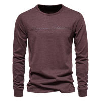 Nueva camiseta de manga larga de color sólido para hombre, talla europea, deportes casuales, cuello redondo, camisa de manga larga con estampado de letras de algodón puro - details 3