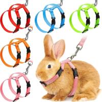 Set de Correa Ajustable de Nylon para Mascotas al Aire Libre Correa de Montura para Conejo Gato - details 1