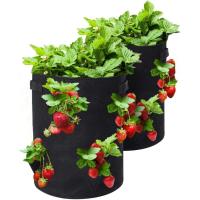 Bolsas para cultivo de fresas, paquete de 2 macetas para fresas con agujeros, bolsillos para cultivo, tela no tejida transpirable, mango reforzado, bolsa para cultivo de plantas para jardín, fresas, hierbas, flores (3 agujeros - 5 galones) - details 0