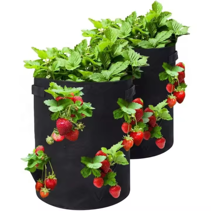 Bolsas para cultivo de fresas, paquete de 2 macetas para fresas con agujeros, bolsillos para cultivo, tela no tejida transpirable, mango reforzado, bolsa para cultivo de plantas para jardín, fresas, hierbas, flores (3 agujeros - 5 galones) - 1