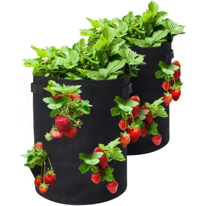 Bolsas para cultivo de fresas, paquete de 2 macetas para fresas con agujeros, bolsillos para cultivo, tela no tejida transpirable, mango reforzado, bolsa para cultivo de plantas para jardín, fresas, hierbas, flores (3 agujeros - 5 galones) - 1