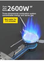 Estufa de Camping Plegable Portátil 2670W, Quemador de Gas para Picnic al Aire Libre - details 13