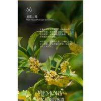 Osmanthus montado aromaterapia expansor perfume aire acondicionado salida de automóvil 2025 nueva decoración interior del coche para niñas - details 2