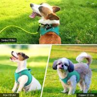 Correa de Mango Suave y Transpirable con Cinturón de Nylon Duradero Conjunto de Arneses para Mascotas para Maximo Confort - details 5